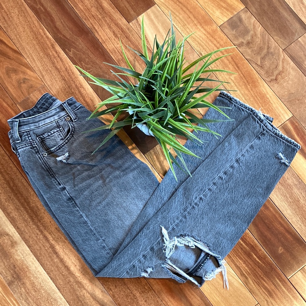 Womens American Eagle Outfitters size 4 regular gray mom jeans